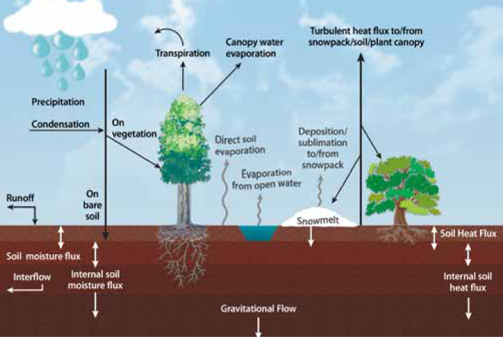Representation of the water cycle, including soil moisture processes.